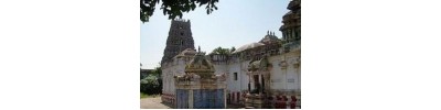 218. திருஎருக்கத்தம் புலியூர்